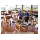 011_Rotorua.jpg