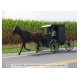 Amish_04.jpg