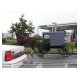 Amish_06.jpg